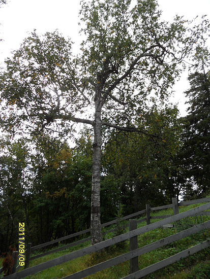 SAM_1827_sm.jpg