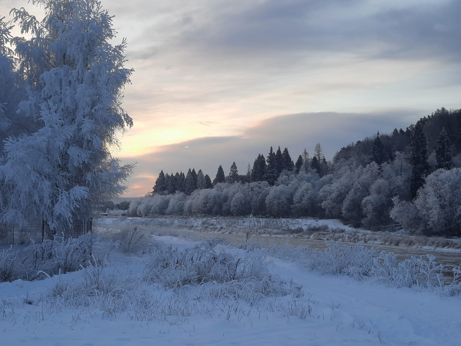 А.Н.Миронов фото зима 8